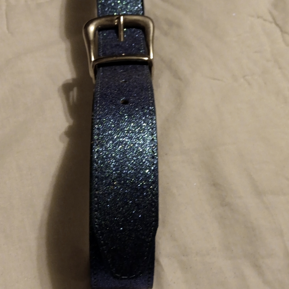 NWOT Absolutely Fresh girls Sparkly Belt Sz M, Man-Made Materials, Turquoise